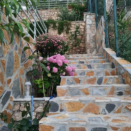 Vila Tatjana Pension Vuno Buitenkant foto