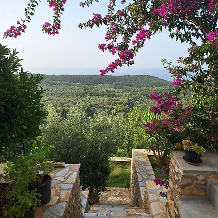 Vila Tatjana Pension Vuno Buitenkant foto