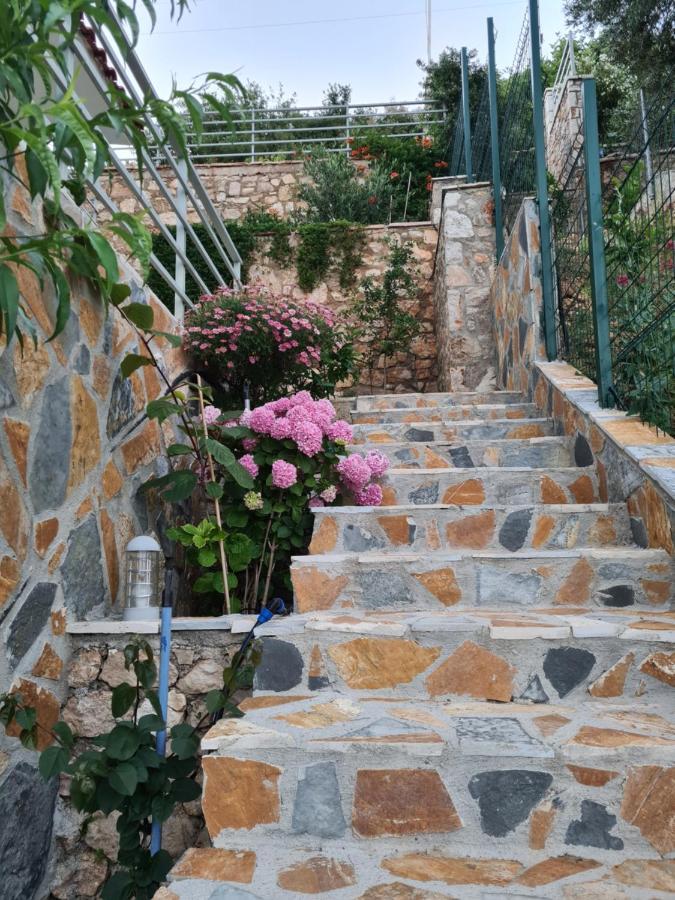 Vila Tatjana