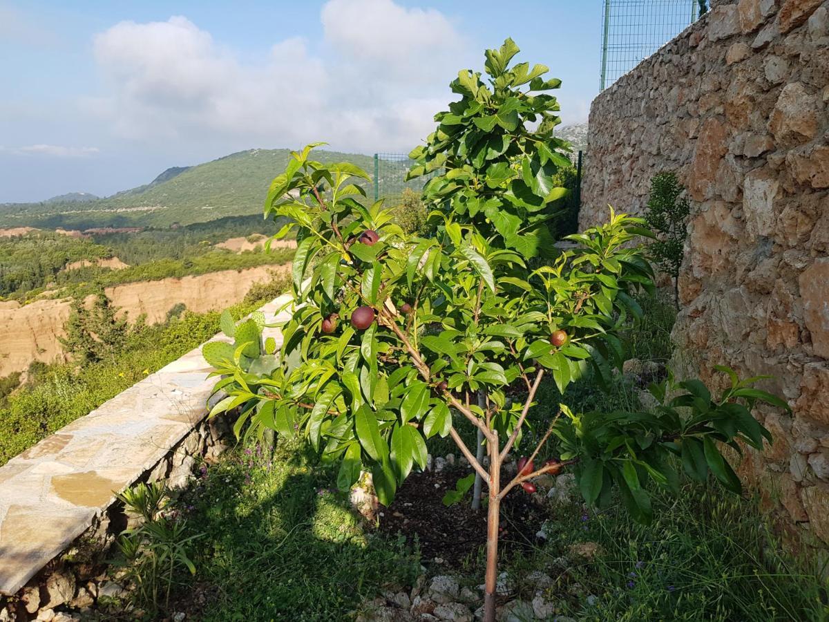 Vila Tatjana