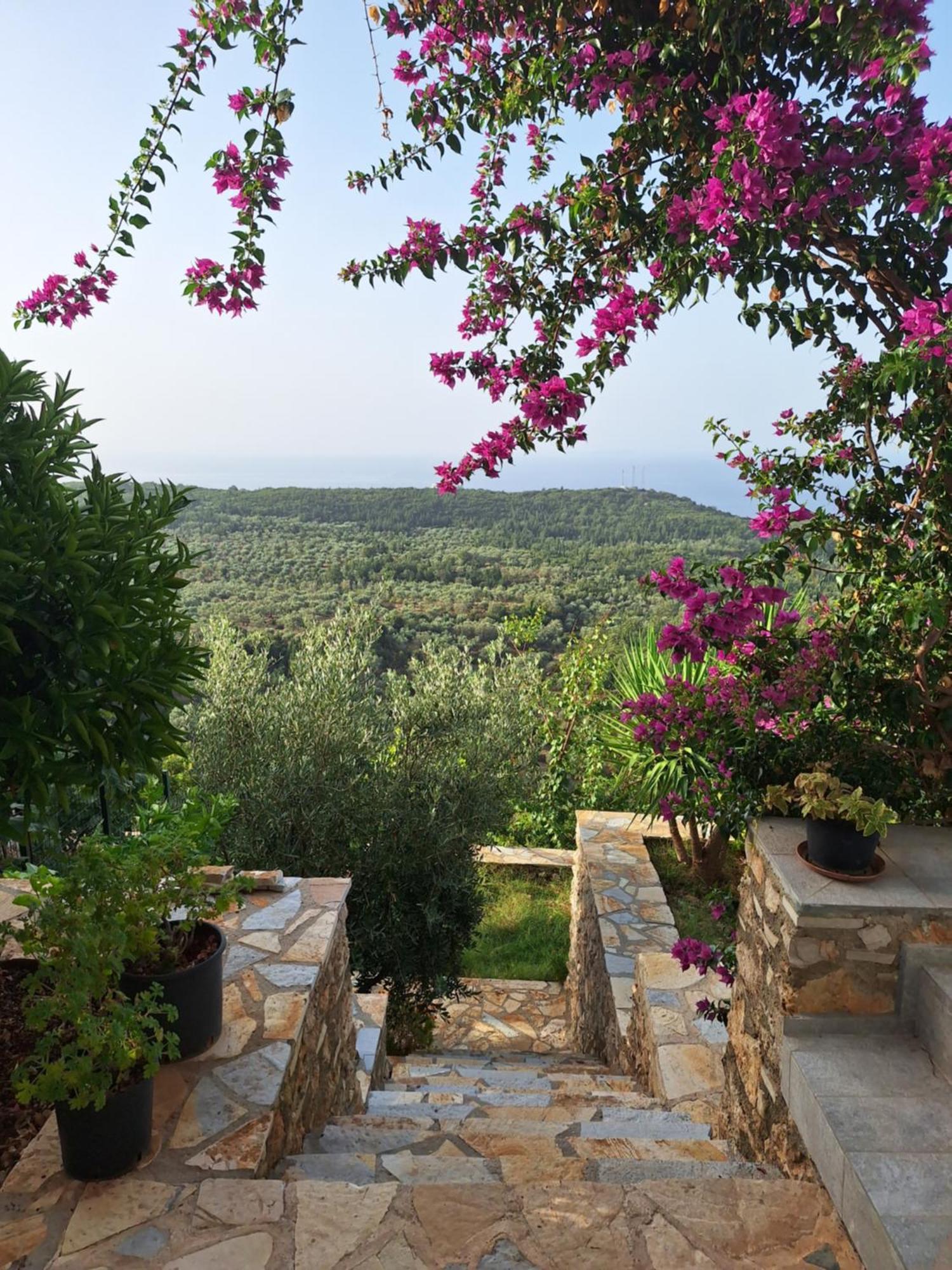 Country house Vila Tatjana Vuno