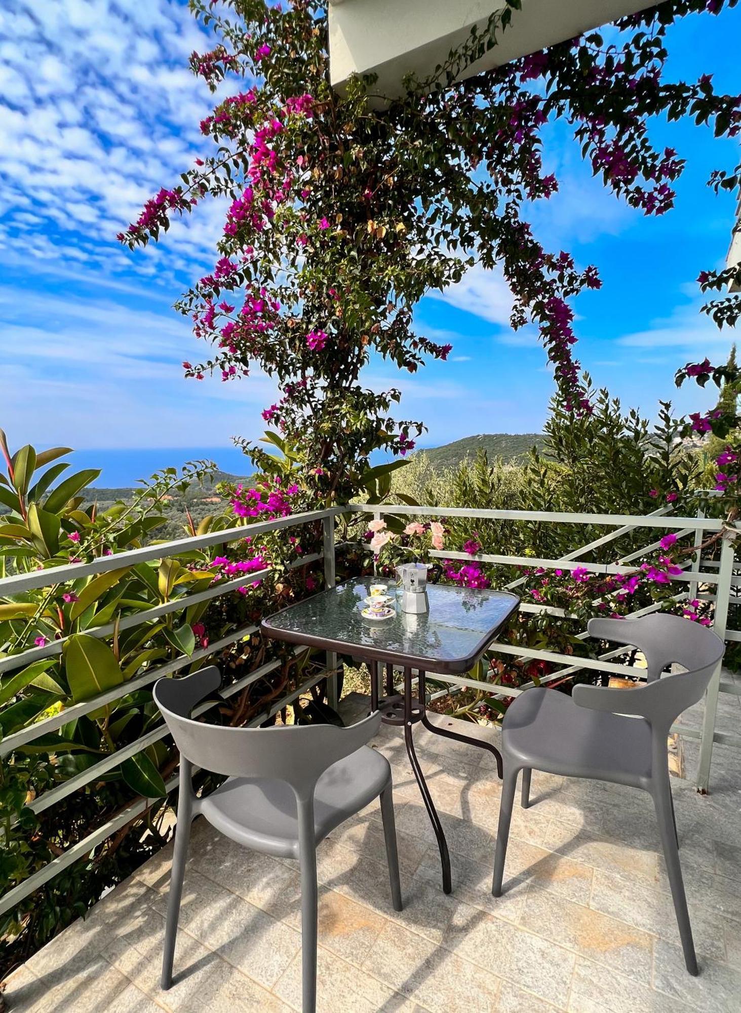 Country house Vila Tatjana Vuno